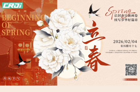 Spring Festival Travel Boom Fuels Peak Demand: F00RJ02012 Injector Valve Set Offers