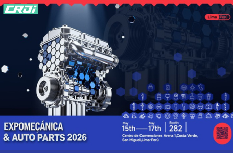Common Rail Diesel Injector Valve Set - Download